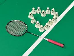 Image result for Prudhoe Adult Badminton Club