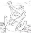 Crocodile coloring page