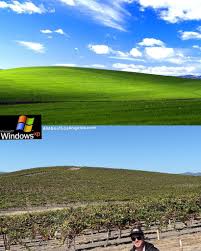 Image result for love windows xp wallpaper