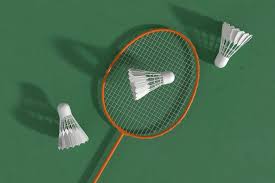 Image result for Thame Shuttles Badminton Club