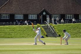 Image result for Mellis Cricket Club