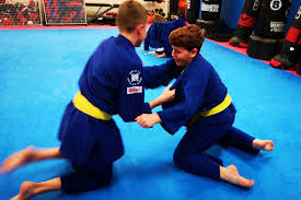 Image result for Basingstoke Aikido Club