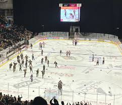 Image result for Sheffield Wildcats Rink Hockey and Roller Skating Club