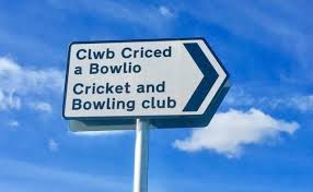 Image result for Clwb Criced A Bowlio Bethesda
