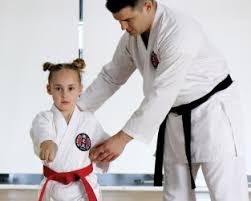 Image result for MIDDLESBROUGH KARATE ACADEMY