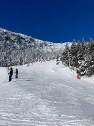 Image result for skiptondivers