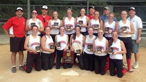 Image result for Dragons Softball Club