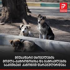 gamravlebis-ის სურათის შედეგი