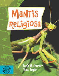 Attēlu rezultāti vaicājumam “Mantis religiosa”