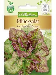 Image result for Pflücksalat