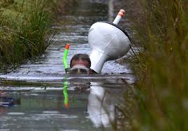 Image result for Bog Snorkelling Championships