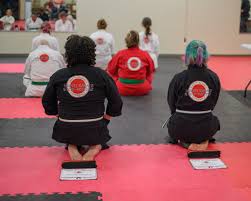 Image result for Windsor Higashi Karate Club