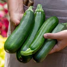Image result for Zucchini