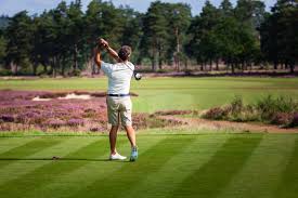 Image result for Hankley Common Golf Club