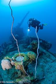 Image result for Calshot Sub-Aqua Club