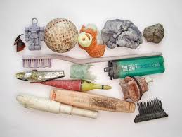 Image result for albatross dead chick