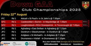 Image result for Rostrevor Hurling Club