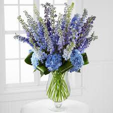 Image result for Delphinium
