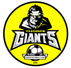 Image result for Thorpe Green Fc