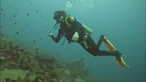 Image result for Abyss Dive Club
