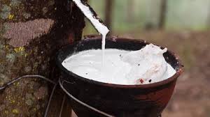 Image result for latex