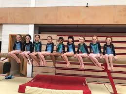 Image result for Phoenix Acro Gymnastics Club
