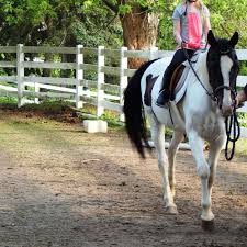 Image result for Beechwood Riding School