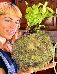 Attēlu rezultāti vaicājumam “Hylocomium splendens sporophyte”