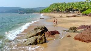 Image result for goa beaches
