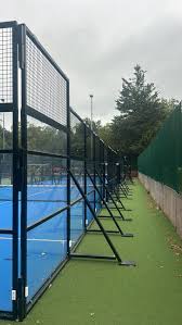 Image result for Battersea Park Millennium Arena