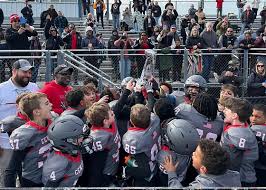 Image result for New Latchingdon Youth Football Club