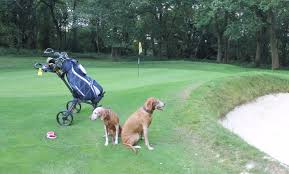 Image result for Chesham & Ley Hill Golf Club