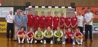 Image result for Deva Handball Club