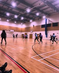 Image result for Halton Netball Club