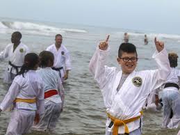 Image result for Beeches Martial Arts