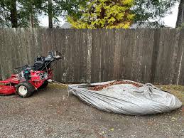 Image result for Justice Mowers Club