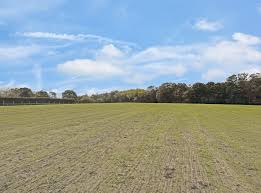 Image result for Cliff Hatch Stables