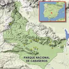 Attēlu rezultāti vaicājumam “Badhamia capsulifera sessile”