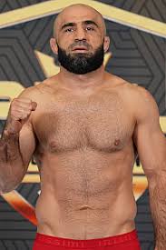 Image result for Wolverine MMA