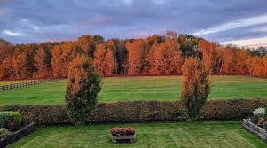 Image result for Melton Mowbray Sailing Club