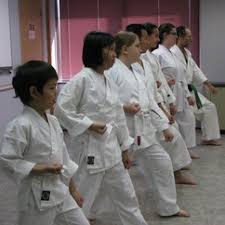 Image result for York University Karate Club