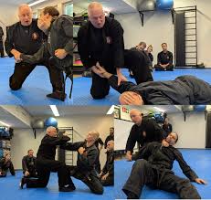 Image result for Peter Kings Dojo