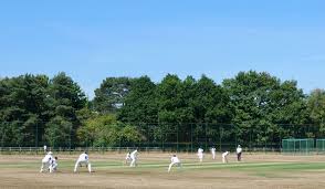 Image result for Bideford/Littleham/Westward Ho Cricket Club