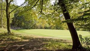 Image result for Harewood Downs Golf Club