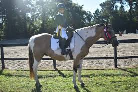 Image result for Beechwood Riding School