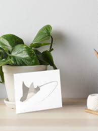 Image result for Rhinoptera bonasus