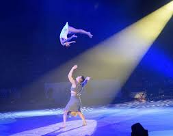 Image result for Sports Acro