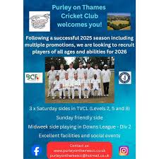 Image result for Purley Cricket Club