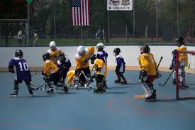 Image result for Walsall Roller Hockey Club