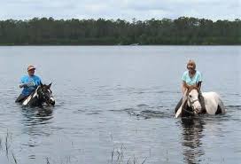 Image result for Lakes Riding Club